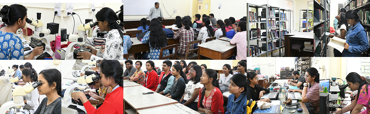 Academic Department University Of Calcutta