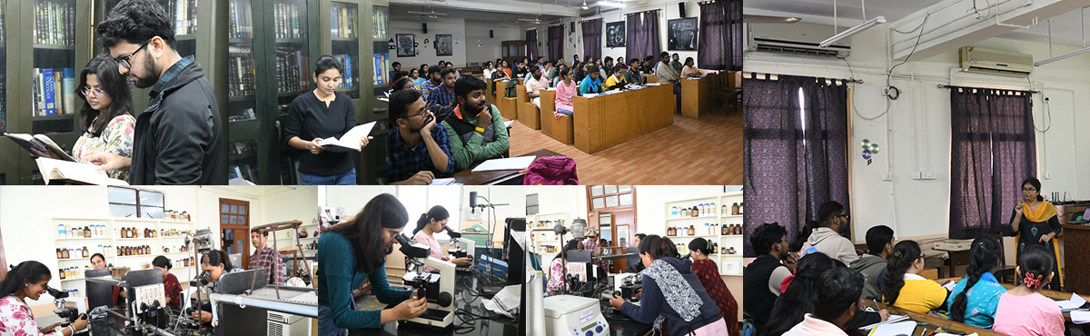 Academic Department University Of Calcutta