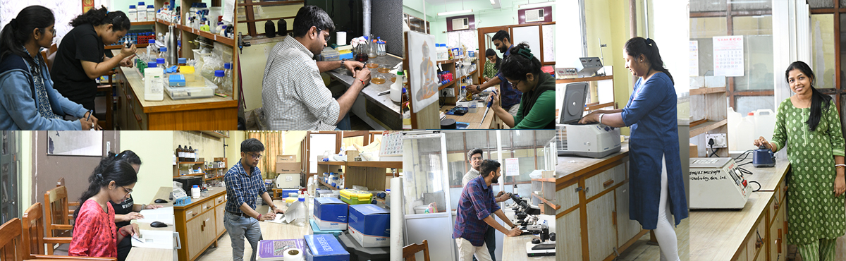 Academic Department University Of Calcutta