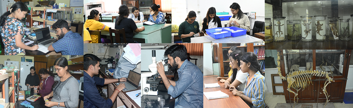 Academic Department University Of Calcutta